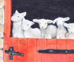 Mom's Lambs