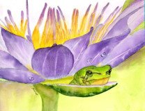 Mr, Frog