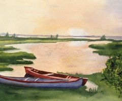 Safe Harbor