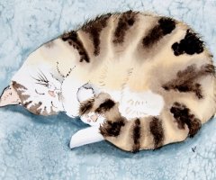 Sleepy Kitty