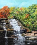 Swallow Falls