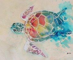 Sea Turtle