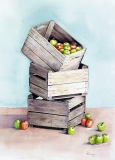 Apple Crates