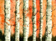 Autumn Birches