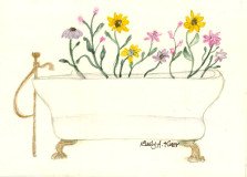 Bathtub Blues