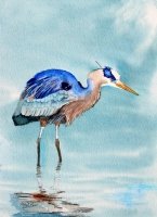 Blue Heron