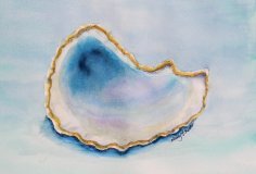 Oyster Shell Study 2