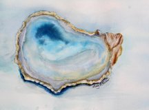 Oyster Shell Study 3