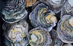 Oysters