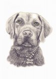 Roc Pencil