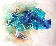 Turtle