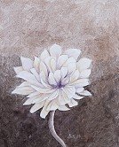 Brown Flower