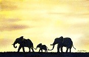 Elephant At Sunset