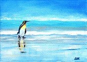 Lonely Penguin