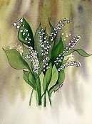 Lily Of The Valley