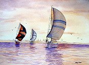 Races On The Severn
