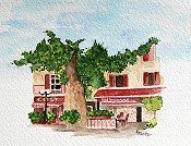 Cafe In Provence