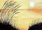 Isle Of Palms Scene