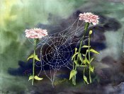 On The Web