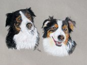 Pat's Pups (aka Taylor and Spirit)