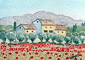 Provence In Summer