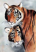 Siegfried And Roy
