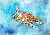 Turtle Batik
