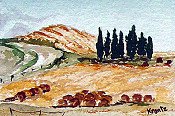 Tuscany In Fall