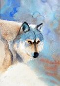 Wolf In The Mist