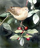 Bird And Berries