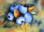 Blueberries