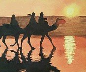Camels