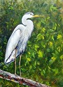 Egret