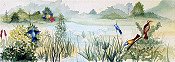 Marshland