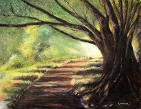 A Path Not Taken