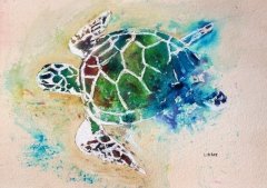 Turtle