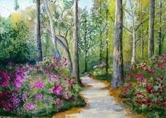 A Walk In The Woods