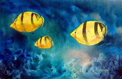 Fishy Fish