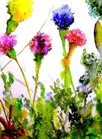 Loose Flowers
