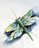Dragonfly