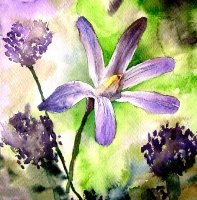 Purple Flowers