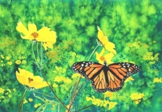 Butterfly with Yellow Flowers