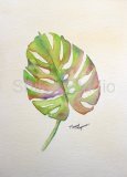 Leaf Study 3