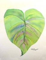 Leaf Study 1