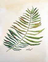 Leaf Study 2