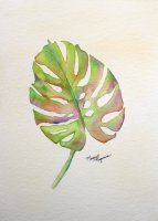 Leaf Study 3