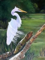Majestic Egret