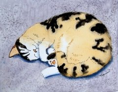 My Kitty