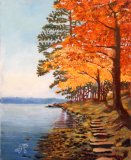 Autumn Trees