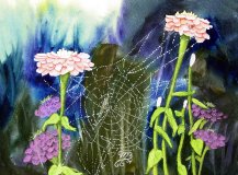 On the Web